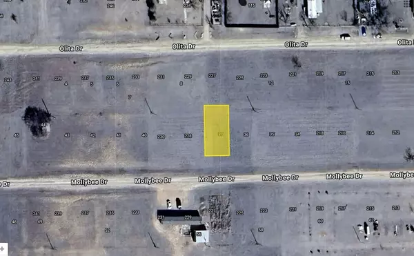 Howardwick, TX 79226,37 MOLLYBEE DR