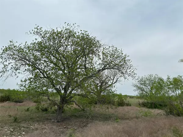 Bertram, TX 78605,unk CR 330