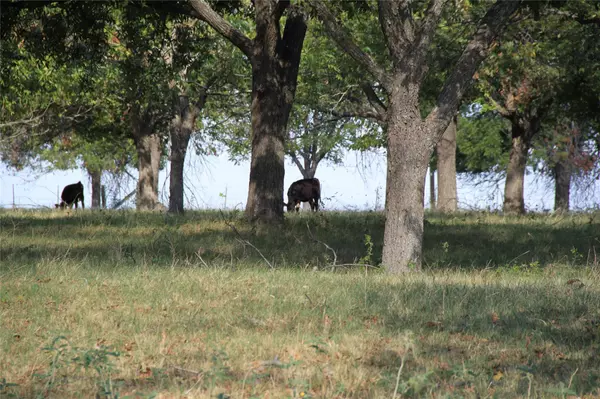 Georgetown, TX 78626,13050 E E State Hwy 29, Georgetown, Texas, 78626