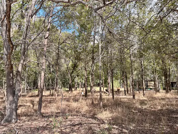 Smithville, TX 78957,TBD Hidden Shores LOOP