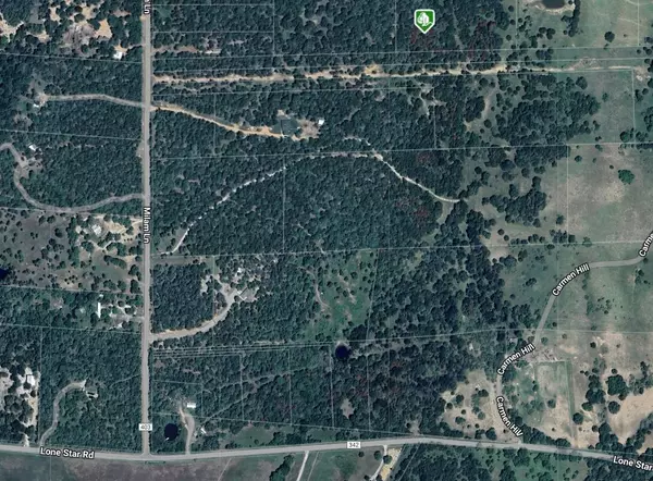 Bastrop, TX 78602,TBD Lone Star RD