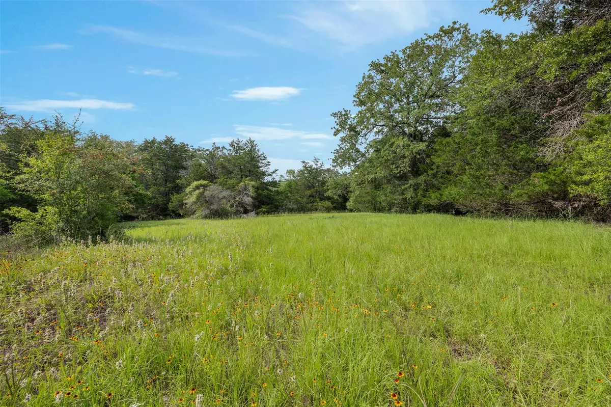 Caldwell, TX 77836,TBD (+/- 15 Acres) County Road 316