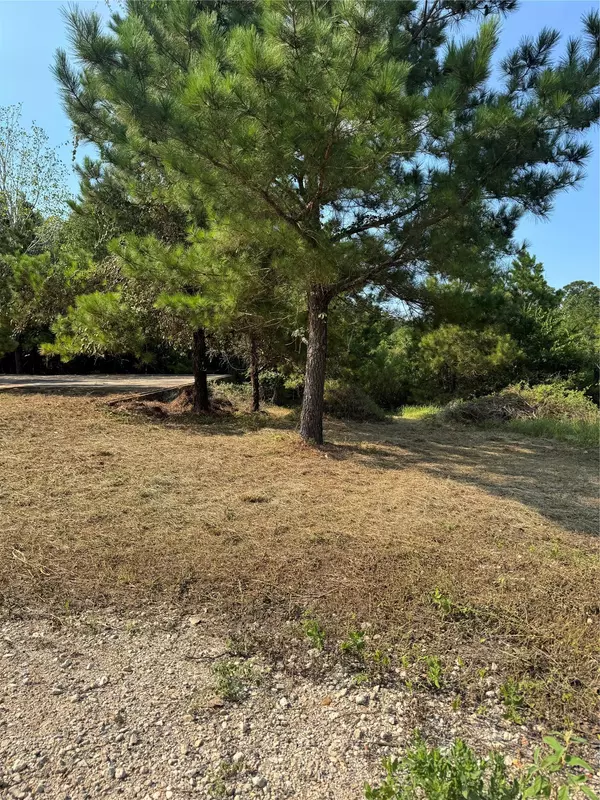 Bastrop, TX 78602,131 Nakalele LN