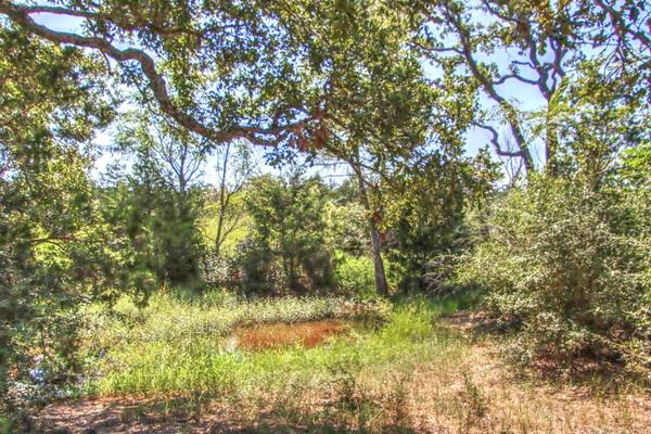 Tract 4 County Road 307, Flatonia, TX 78941