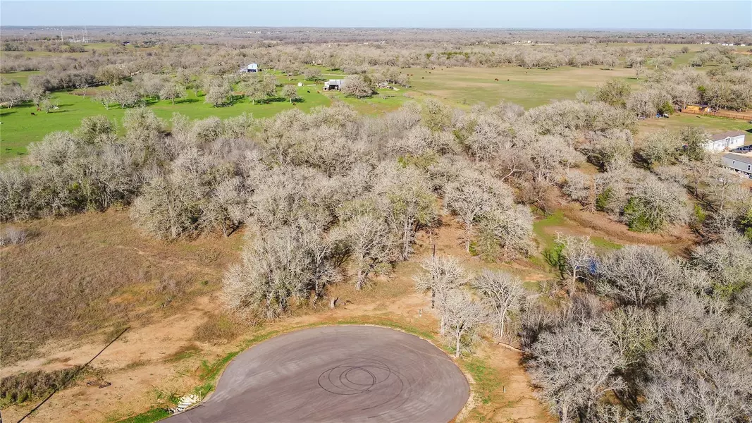199 AZALEA CT, Dale, TX 78619
