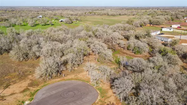 Dale, TX 78619,199 AZALEA CT