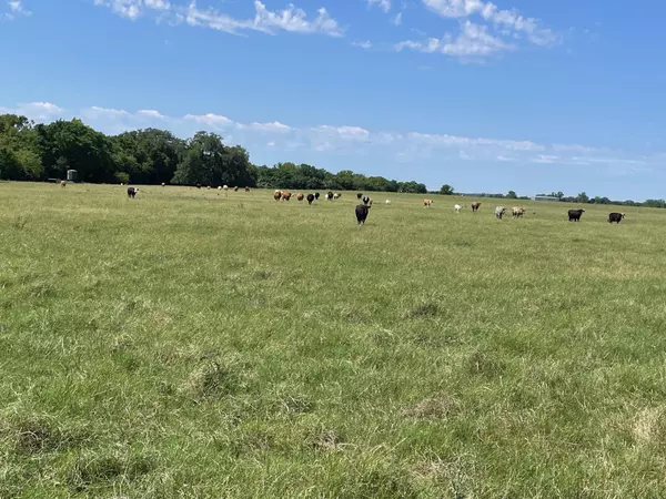 Smithville, TX 78957,TBD 144.45 acres