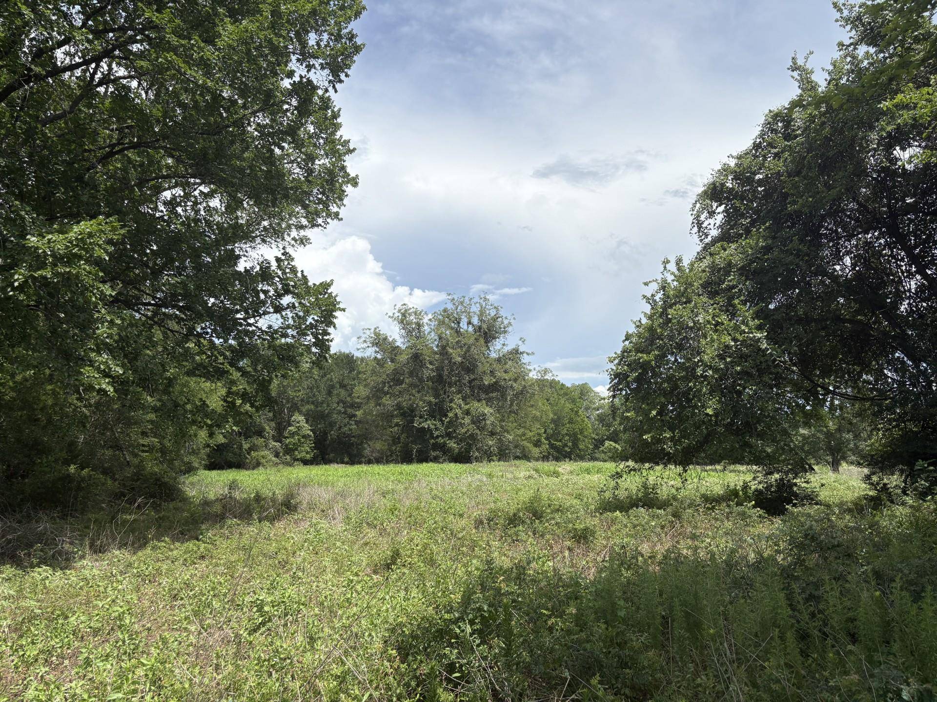 Smithville, TX 78957,TBD Farm to Market 2104
