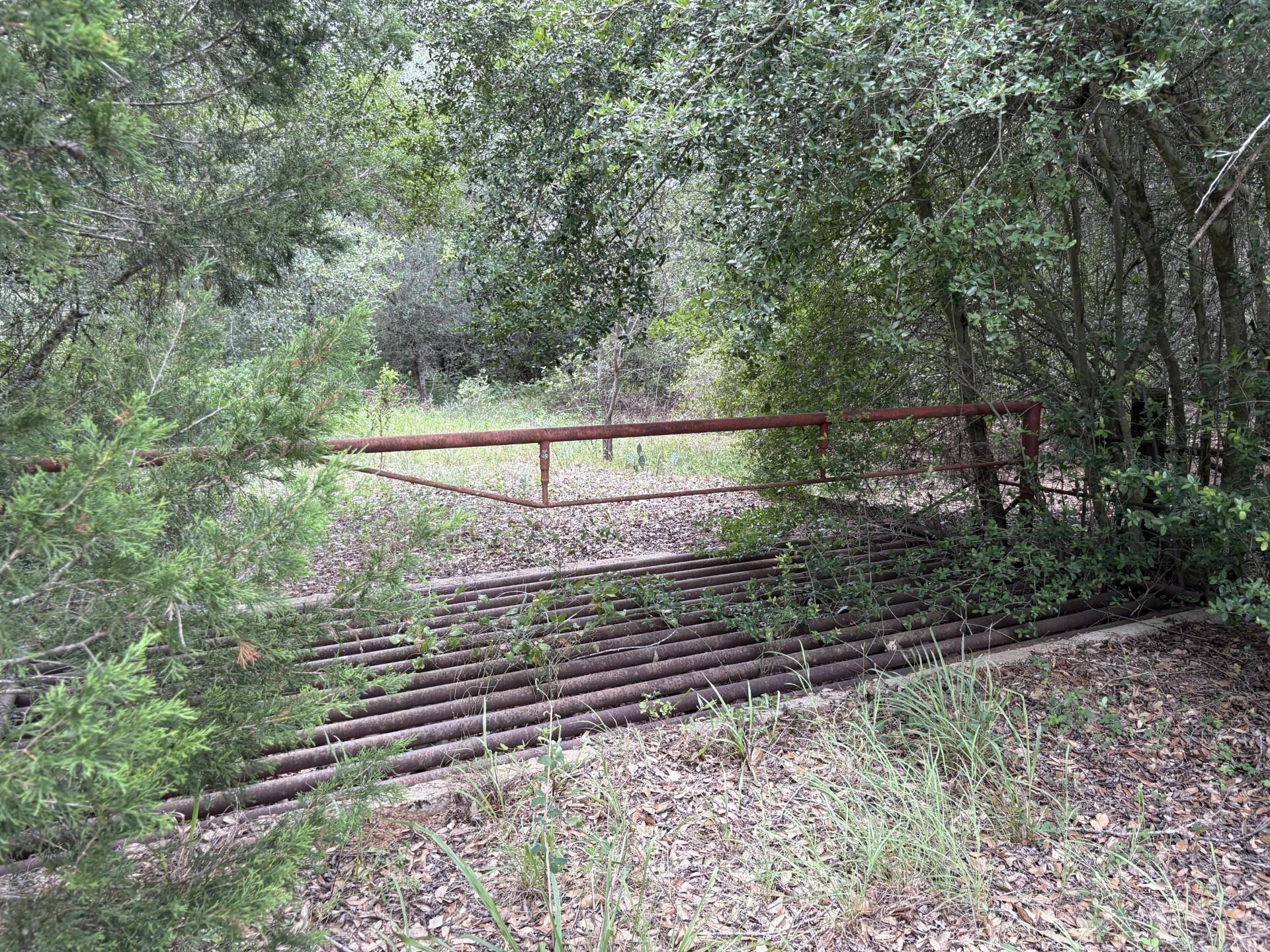TBD Farm to Market 2104, Smithville, TX 78957
