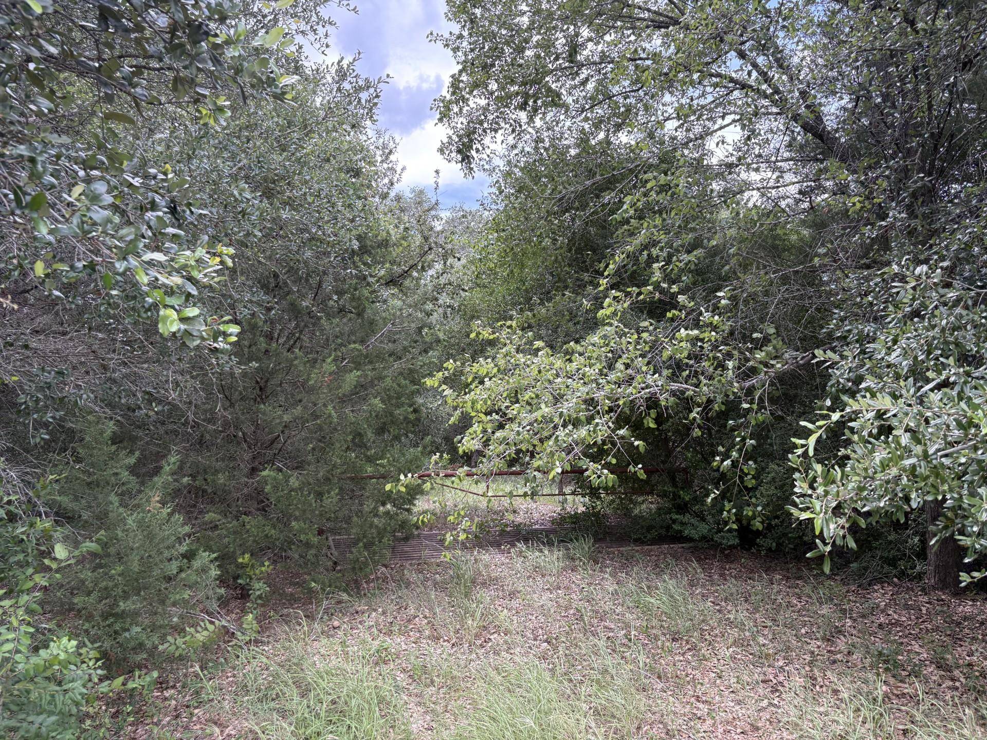 Smithville, TX 78957,TBD Farm to Market 2104