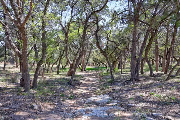 Wimberley, TX 78676,TBD Moonridge LN