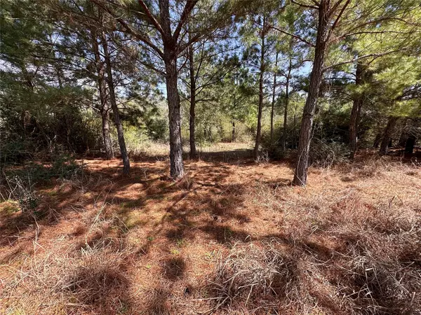 TBD Hula LN, Bastrop, TX 78602