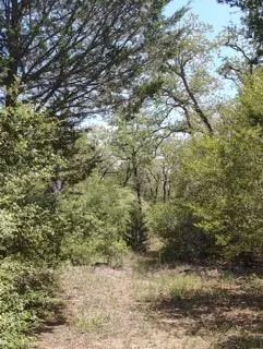 Smithville, TX 78957,142 Meduna RD