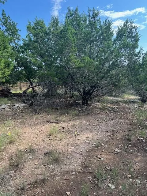 Lago Vista, TX 78645,2307 American DR