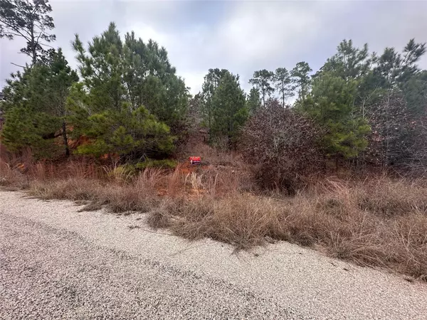 Bastrop, TX 78602,LOT 173 / R32210 Keo Kea CT