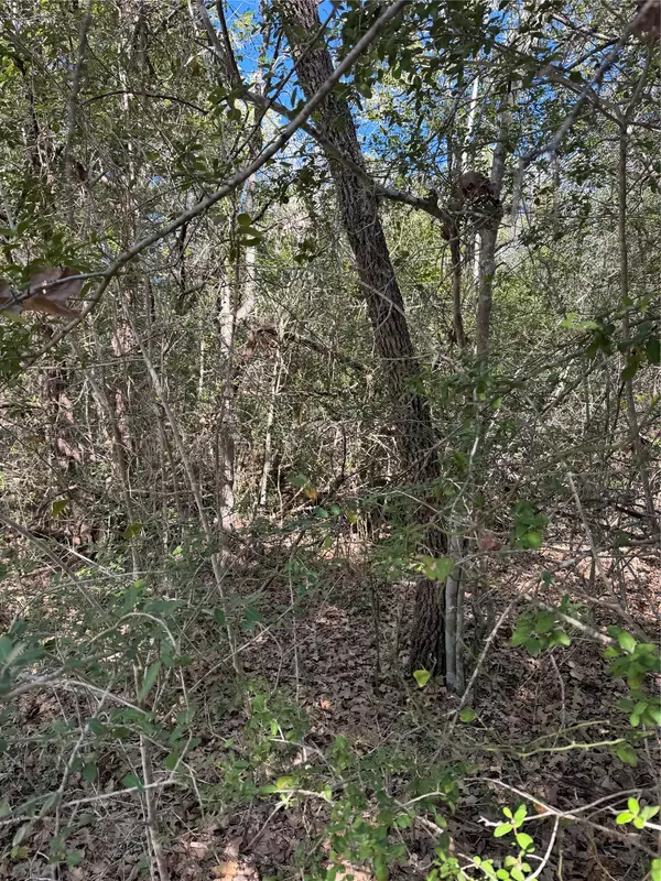 Bastrop, TX 78602,Lot 195 Kaelepulu DR
