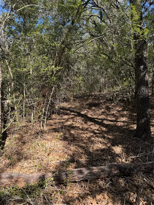 Lot 195 Kaelepulu DR, Bastrop, TX 78602
