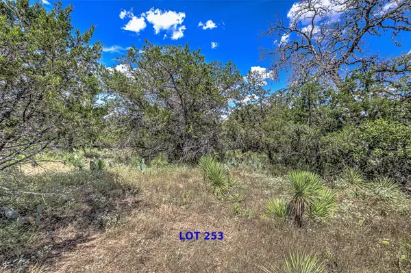 Granite Shoals, TX 78654,Lot 253 Briarway DR