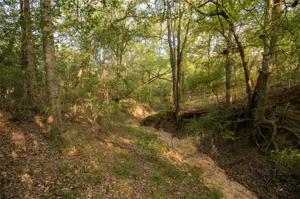 Seguin, TX 78155,760 Dowdy RD