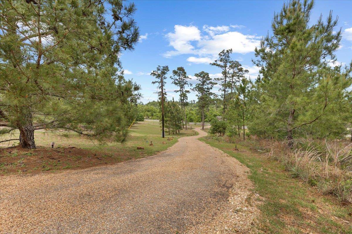 Bastrop, TX 78602,178 Pine Tree LOOP