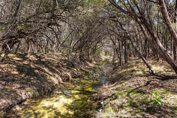 Dripping Springs, TX 78620,1725 Cripple Creek STA