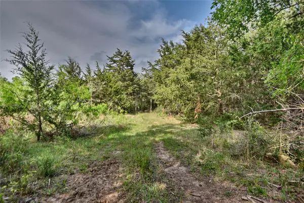Caldwell, TX 77836,TBD (43.65 Acres) County Road 126