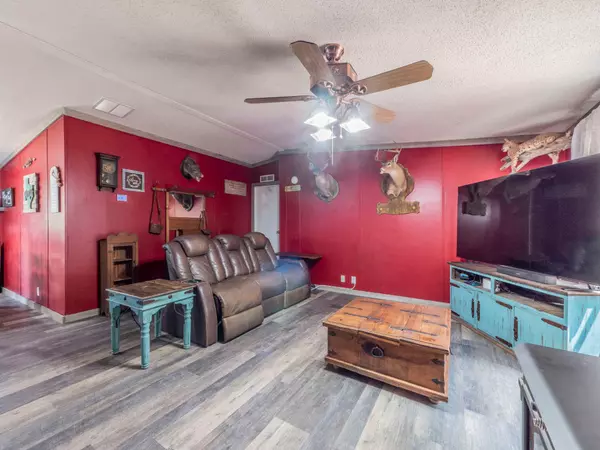 Red Rock, TX 78662,146 Fealy RD