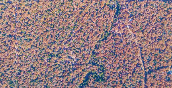 Lexington, TX 78947,1245 PR 3063