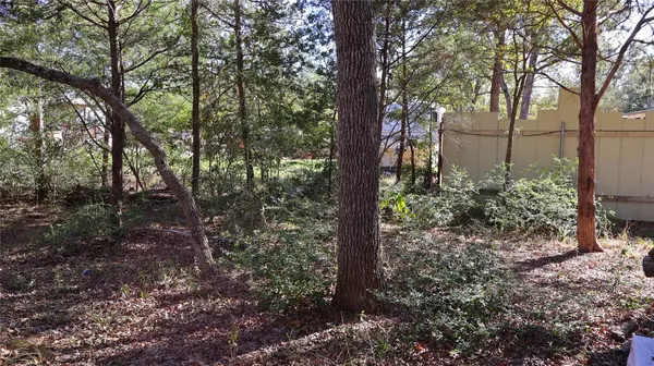 Smithville, TX 78957,TBD Choctaw TRL