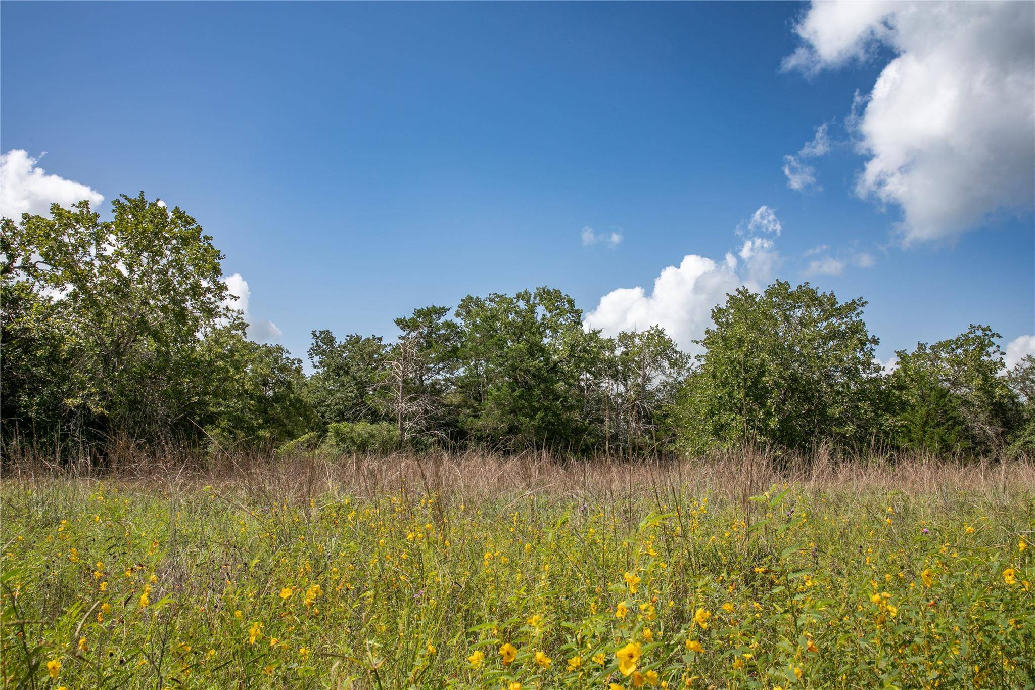 4105 Lomax Harmel RD, Carmine, TX 78932