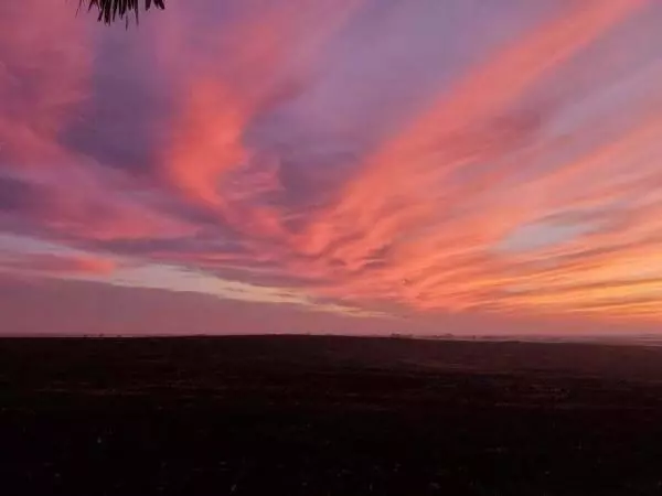 Coupland, TX 78615,975 County Rd 458 (10 Acres)