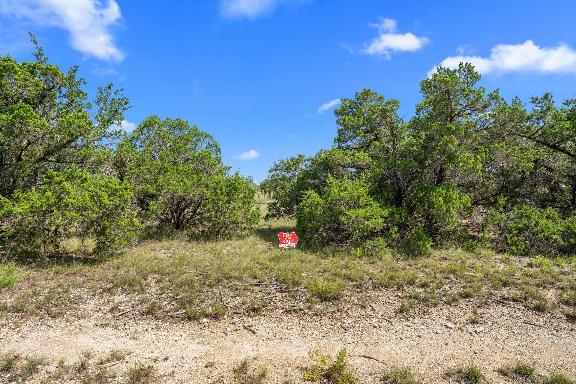 Dripping Springs, TX 78620,Lot G (Subdivided) Mirela Ann RD