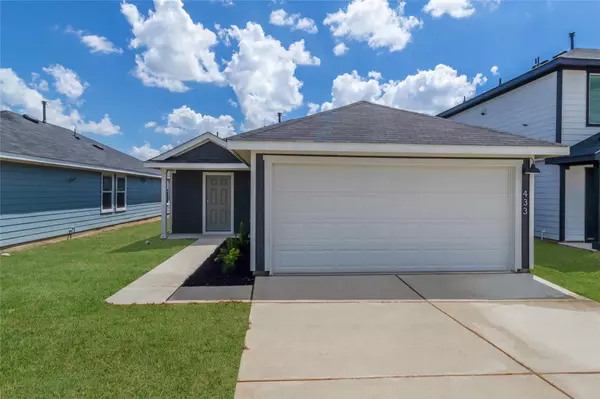 Buda, TX 78610,174 Alkali DR