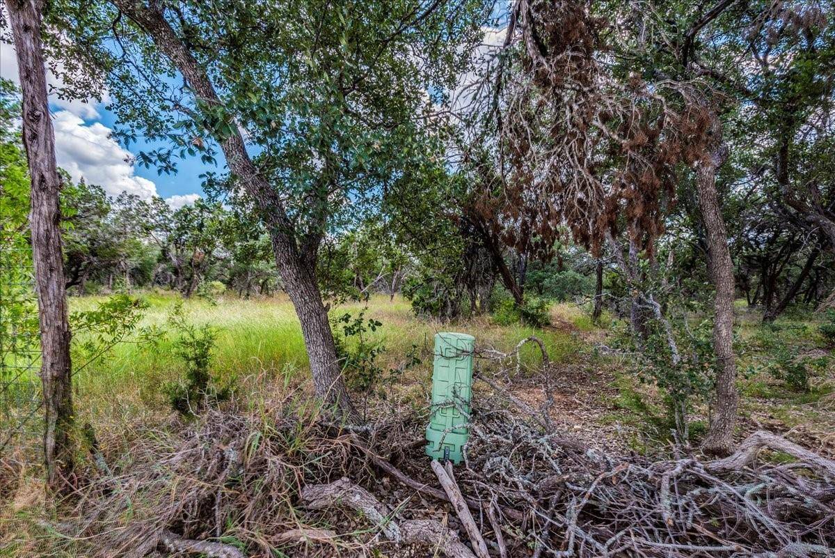 Dripping Springs, TX 78620,TBD Founders Park RD