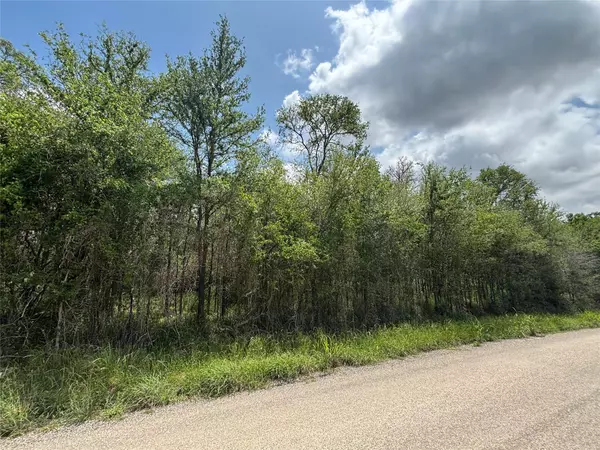 191 Heleakala DR, Bastrop, TX 78602