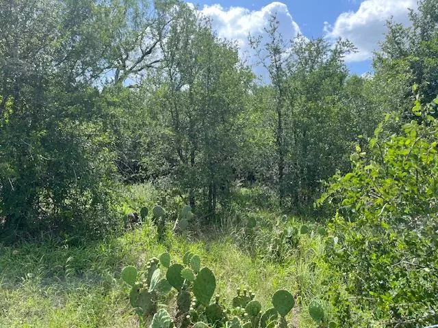 Cedar Creek, TX 78612,103 Mann LN