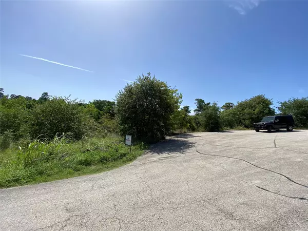 Bastrop, TX 78602,LOT 455 Hawea CT