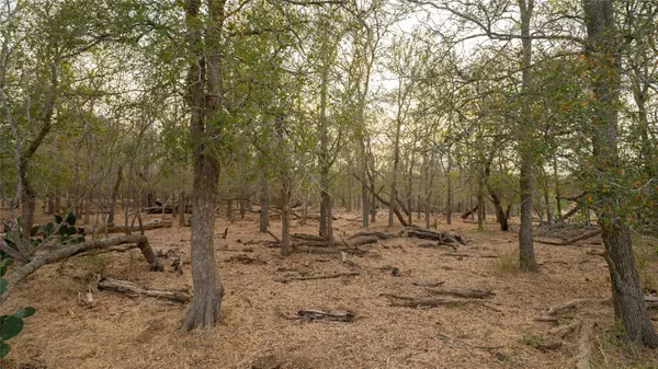 Dale, TX 78616,3980 (Tract 5) Fm 3158