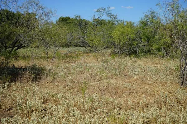 Milano, TX 76556,TBD 1 CR 236A