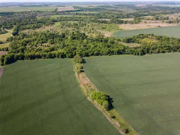 Granger, TX 76530,000 County Rd 361