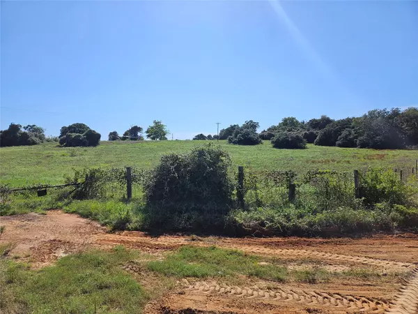 Milano, TX 76556,8544 CR 322