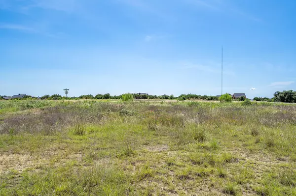 Liberty Hill, TX 78642,200 Yellow Senna PL