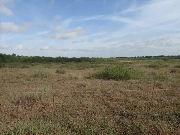 Lockhart, TX 78644,1060 Black Ankle RD