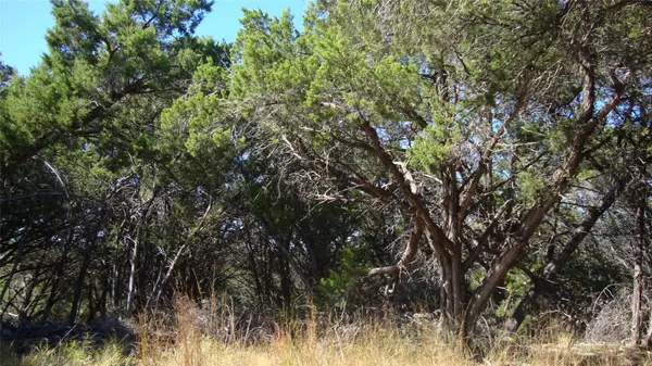 Lago Vista, TX 78645,20804 Bonanza ST