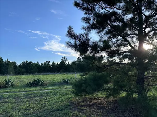 Bastrop, TX 78602,214 Pine PATH