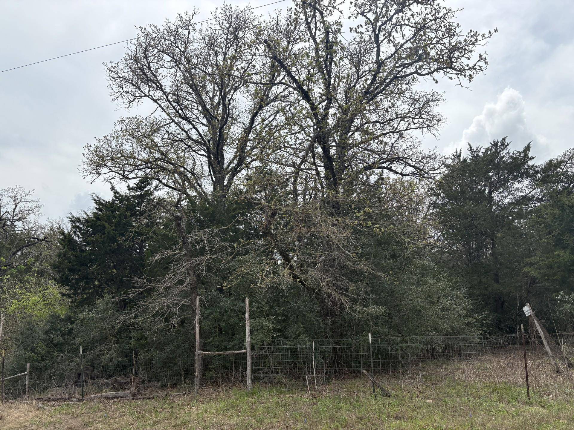 Bastrop, TX 78602,TBD Saddle Brook DR