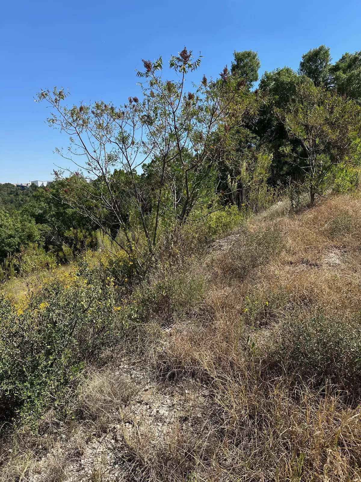 Lago Vista, TX 78645,21400 Bison TRL