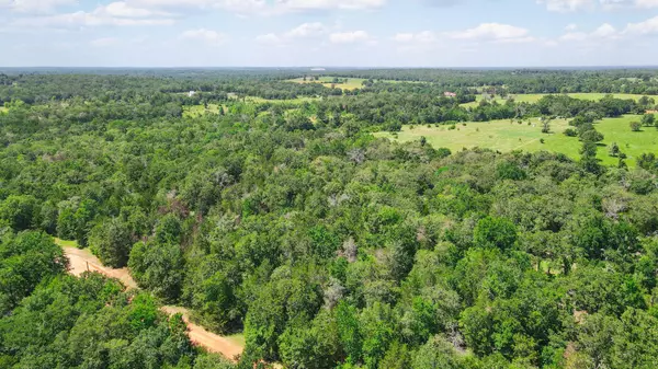 Caldwell, TX 77836,TBD (+/- 2.5 Acres) Cedar Creek