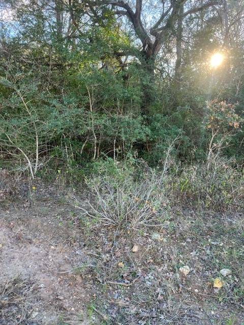 Bastrop, TX 78692,Lot 632 Hilea CT