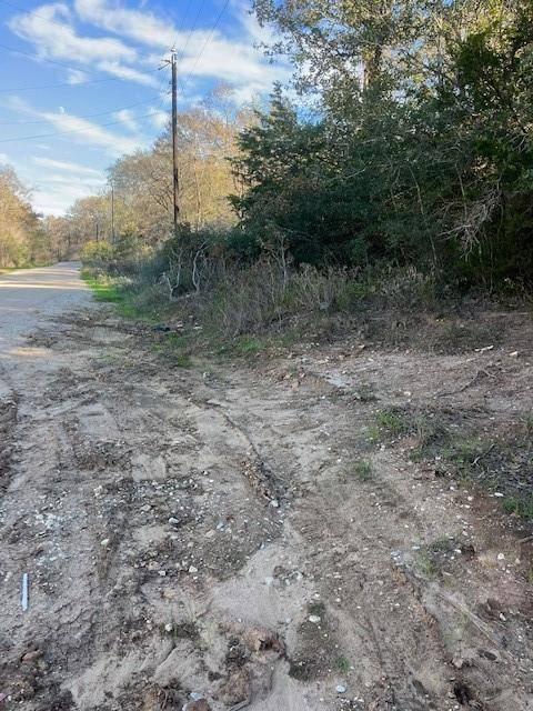 Bastrop, TX 78692,Lot 632 Hilea CT